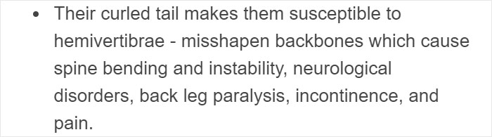 &ldquo;Pugs Are Not Cute, [They&rsquo;re] Malformed, Sick Animals That Shouldn&rsquo;t Exist&rdquo;: This Tumblr Thread May Change The Way You See Pugs