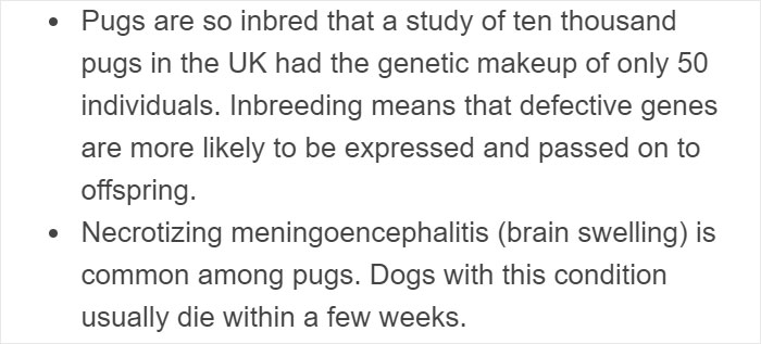 &ldquo;Pugs Are Not Cute, [They&rsquo;re] Malformed, Sick Animals That Shouldn&rsquo;t Exist&rdquo;: This Tumblr Thread May Change The Way You See Pugs