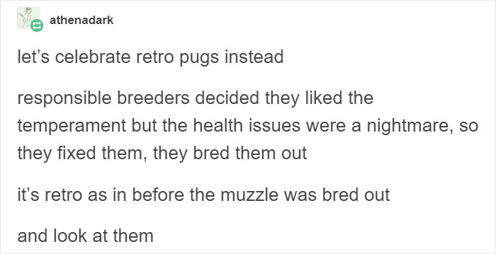 &ldquo;Pugs Are Not Cute, [They&rsquo;re] Malformed, Sick Animals That Shouldn&rsquo;t Exist&rdquo;: This Tumblr Thread May Change The Way You See Pugs
