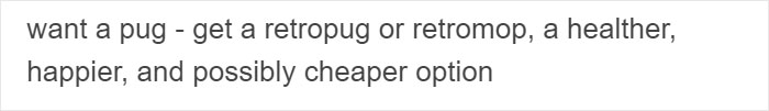 &ldquo;Pugs Are Not Cute, [They&rsquo;re] Malformed, Sick Animals That Shouldn&rsquo;t Exist&rdquo;: This Tumblr Thread May Change The Way You See Pugs