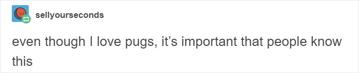 &ldquo;Pugs Are Not Cute, [They&rsquo;re] Malformed, Sick Animals That Shouldn&rsquo;t Exist&rdquo;: This Tumblr Thread May Change The Way You See Pugs