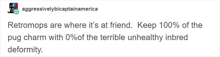 &ldquo;Pugs Are Not Cute, [They&rsquo;re] Malformed, Sick Animals That Shouldn&rsquo;t Exist&rdquo;: This Tumblr Thread May Change The Way You See Pugs