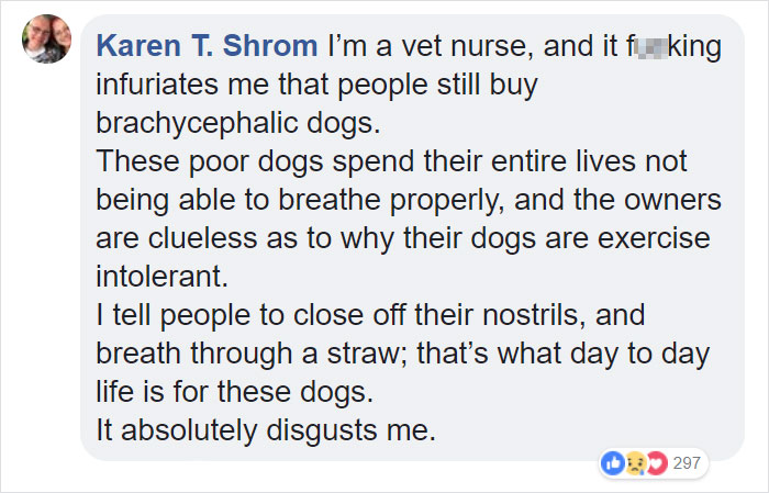 &ldquo;Pugs Are Not Cute, [They&rsquo;re] Malformed, Sick Animals That Shouldn&rsquo;t Exist&rdquo;: This Tumblr Thread May Change The Way You See Pugs