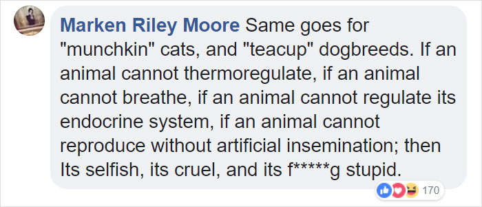 &ldquo;Pugs Are Not Cute, [They&rsquo;re] Malformed, Sick Animals That Shouldn&rsquo;t Exist&rdquo;: This Tumblr Thread May Change The Way You See Pugs