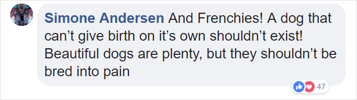 &ldquo;Pugs Are Not Cute, [They&rsquo;re] Malformed, Sick Animals That Shouldn&rsquo;t Exist&rdquo;: This Tumblr Thread May Change The Way You See Pugs