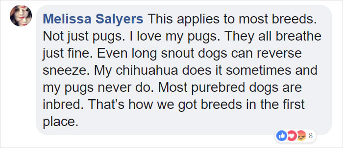 &ldquo;Pugs Are Not Cute, [They&rsquo;re] Malformed, Sick Animals That Shouldn&rsquo;t Exist&rdquo;: This Tumblr Thread May Change The Way You See Pugs