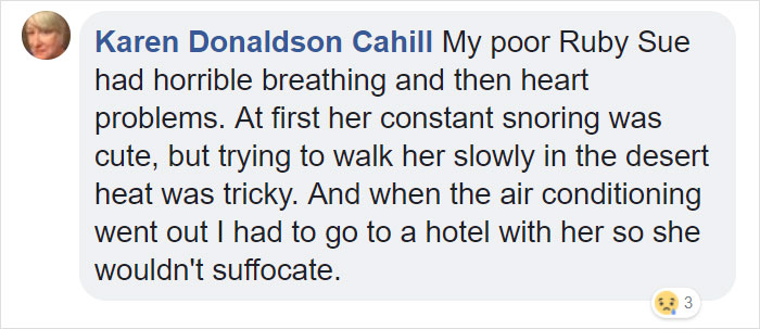 &ldquo;Pugs Are Not Cute, [They&rsquo;re] Malformed, Sick Animals That Shouldn&rsquo;t Exist&rdquo;: This Tumblr Thread May Change The Way You See Pugs