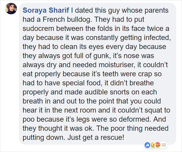 &ldquo;Pugs Are Not Cute, [They&rsquo;re] Malformed, Sick Animals That Shouldn&rsquo;t Exist&rdquo;: This Tumblr Thread May Change The Way You See Pugs