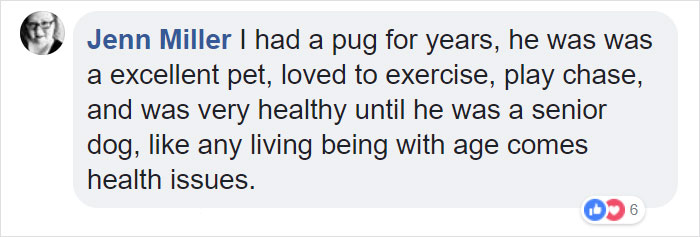 &ldquo;Pugs Are Not Cute, [They&rsquo;re] Malformed, Sick Animals That Shouldn&rsquo;t Exist&rdquo;: This Tumblr Thread May Change The Way You See Pugs