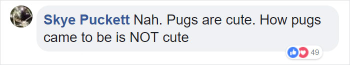 &ldquo;Pugs Are Not Cute, [They&rsquo;re] Malformed, Sick Animals That Shouldn&rsquo;t Exist&rdquo;: This Tumblr Thread May Change The Way You See Pugs