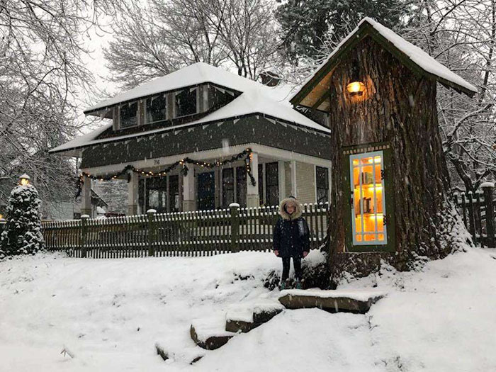 Woman Turned 110-Year-Old Dead Tree Into A Free Little Library For The Neighborhood And It Looks Magical Woman Turned 110-Year-Old Dead Tree Into A Free Little Library For The Neighborhood And It Looks Magical