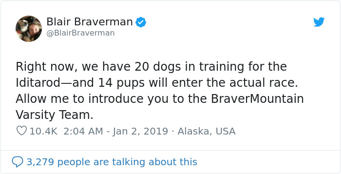 The Way This Woman Described Each And Every One Of Her 20 Sled Dogs Is Hilariously Wholesome The Way This Woman Described Each And Every One Of Her 20 Sled Dogs Is Hilariously Wholesome