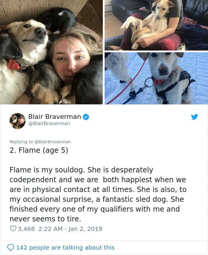 The Way This Woman Described Each And Every One Of Her 20 Sled Dogs Is Hilariously Wholesome The Way This Woman Described Each And Every One Of Her 20 Sled Dogs Is Hilariously Wholesome