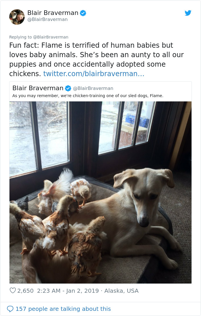 The Way This Woman Described Each And Every One Of Her 20 Sled Dogs Is Hilariously Wholesome The Way This Woman Described Each And Every One Of Her 20 Sled Dogs Is Hilariously Wholesome