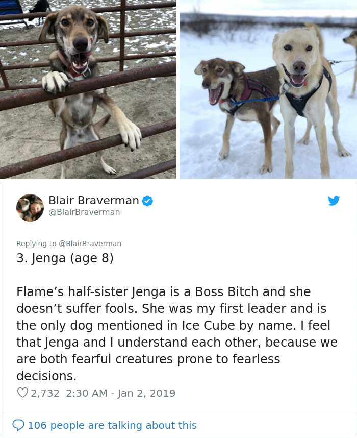 The Way This Woman Described Each And Every One Of Her 20 Sled Dogs Is Hilariously Wholesome The Way This Woman Described Each And Every One Of Her 20 Sled Dogs Is Hilariously Wholesome