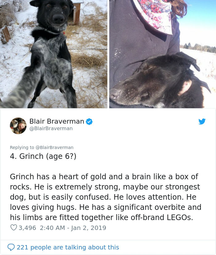 The Way This Woman Described Each And Every One Of Her 20 Sled Dogs Is Hilariously Wholesome The Way This Woman Described Each And Every One Of Her 20 Sled Dogs Is Hilariously Wholesome