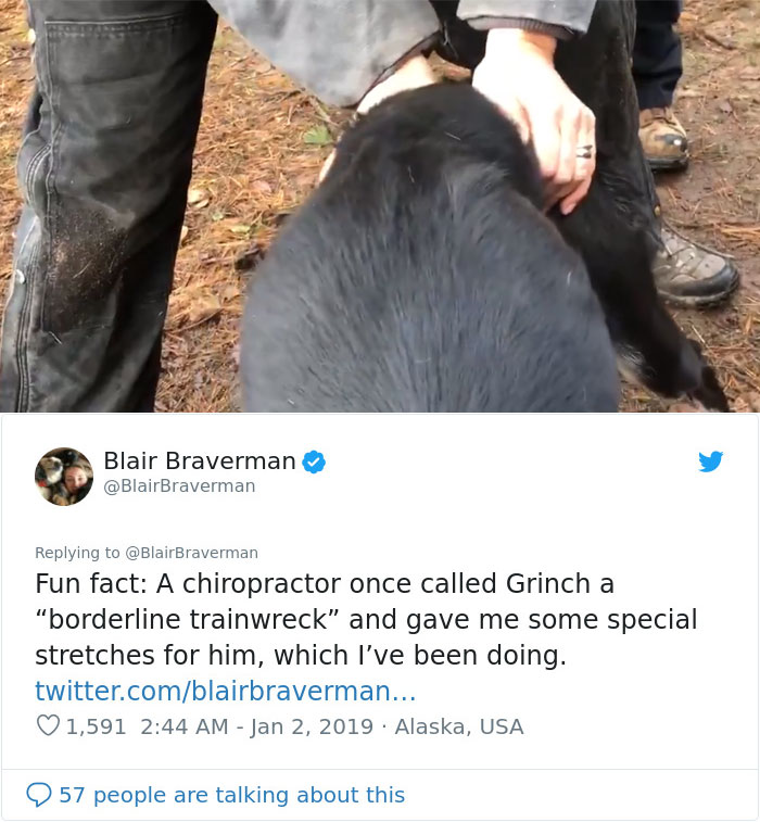 The Way This Woman Described Each And Every One Of Her 20 Sled Dogs Is Hilariously Wholesome The Way This Woman Described Each And Every One Of Her 20 Sled Dogs Is Hilariously Wholesome