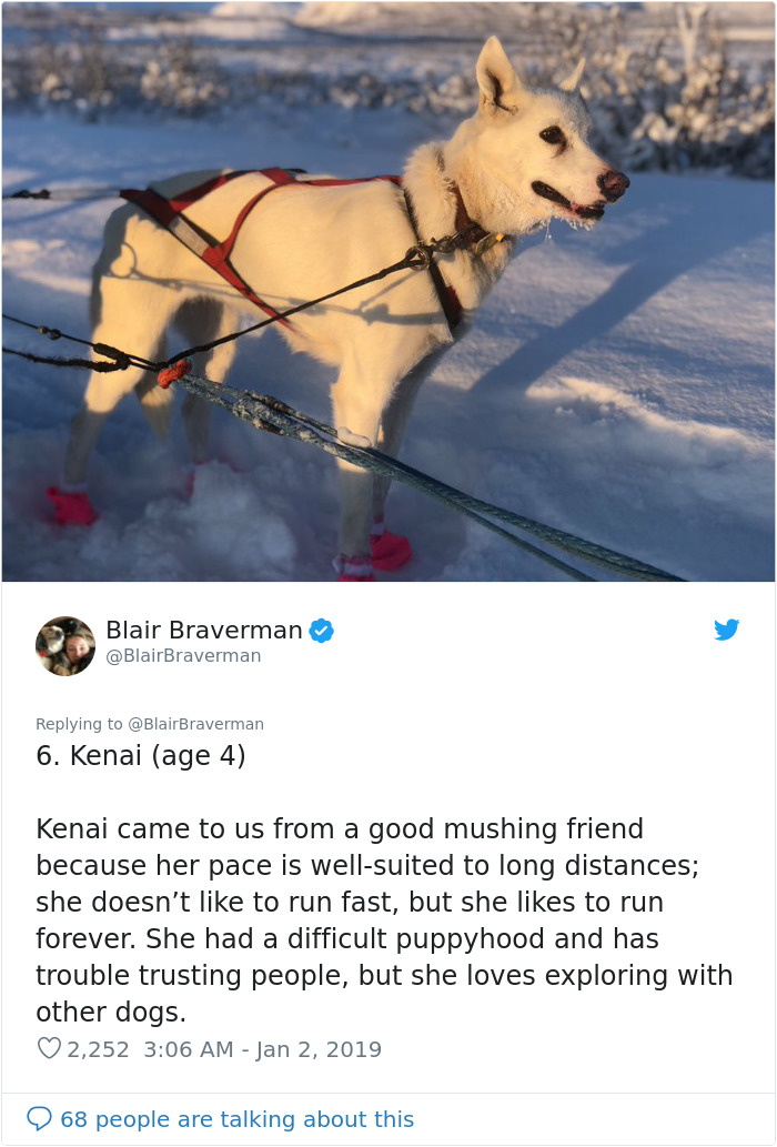The Way This Woman Described Each And Every One Of Her 20 Sled Dogs Is Hilariously Wholesome The Way This Woman Described Each And Every One Of Her 20 Sled Dogs Is Hilariously Wholesome