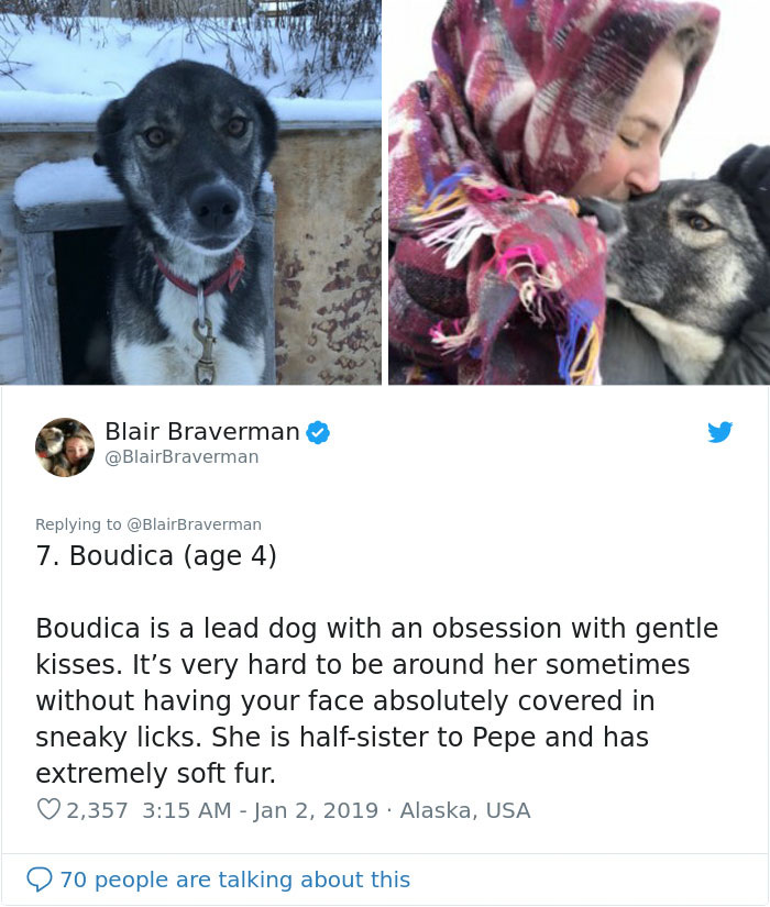 The Way This Woman Described Each And Every One Of Her 20 Sled Dogs Is Hilariously Wholesome The Way This Woman Described Each And Every One Of Her 20 Sled Dogs Is Hilariously Wholesome