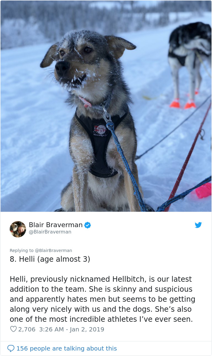 The Way This Woman Described Each And Every One Of Her 20 Sled Dogs Is Hilariously Wholesome The Way This Woman Described Each And Every One Of Her 20 Sled Dogs Is Hilariously Wholesome