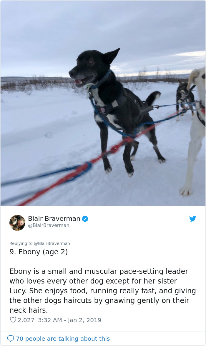 The Way This Woman Described Each And Every One Of Her 20 Sled Dogs Is Hilariously Wholesome The Way This Woman Described Each And Every One Of Her 20 Sled Dogs Is Hilariously Wholesome