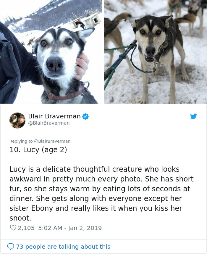 The Way This Woman Described Each And Every One Of Her 20 Sled Dogs Is Hilariously Wholesome The Way This Woman Described Each And Every One Of Her 20 Sled Dogs Is Hilariously Wholesome
