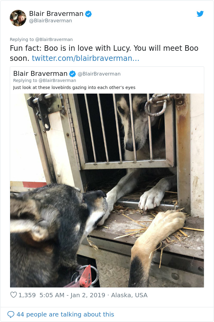 The Way This Woman Described Each And Every One Of Her 20 Sled Dogs Is Hilariously Wholesome The Way This Woman Described Each And Every One Of Her 20 Sled Dogs Is Hilariously Wholesome