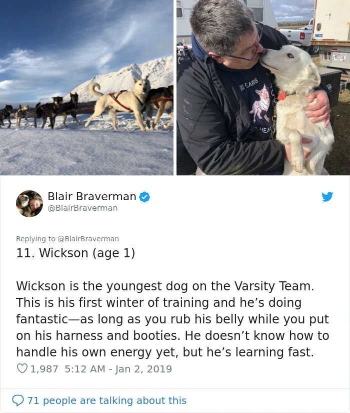 The Way This Woman Described Each And Every One Of Her 20 Sled Dogs Is Hilariously Wholesome The Way This Woman Described Each And Every One Of Her 20 Sled Dogs Is Hilariously Wholesome