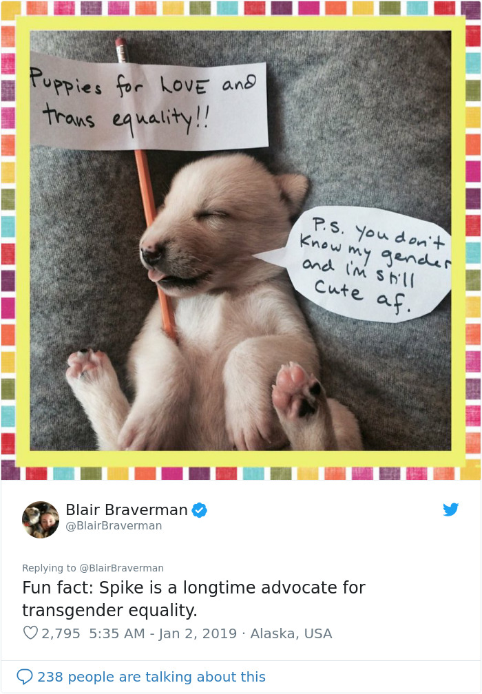 The Way This Woman Described Each And Every One Of Her 20 Sled Dogs Is Hilariously Wholesome The Way This Woman Described Each And Every One Of Her 20 Sled Dogs Is Hilariously Wholesome