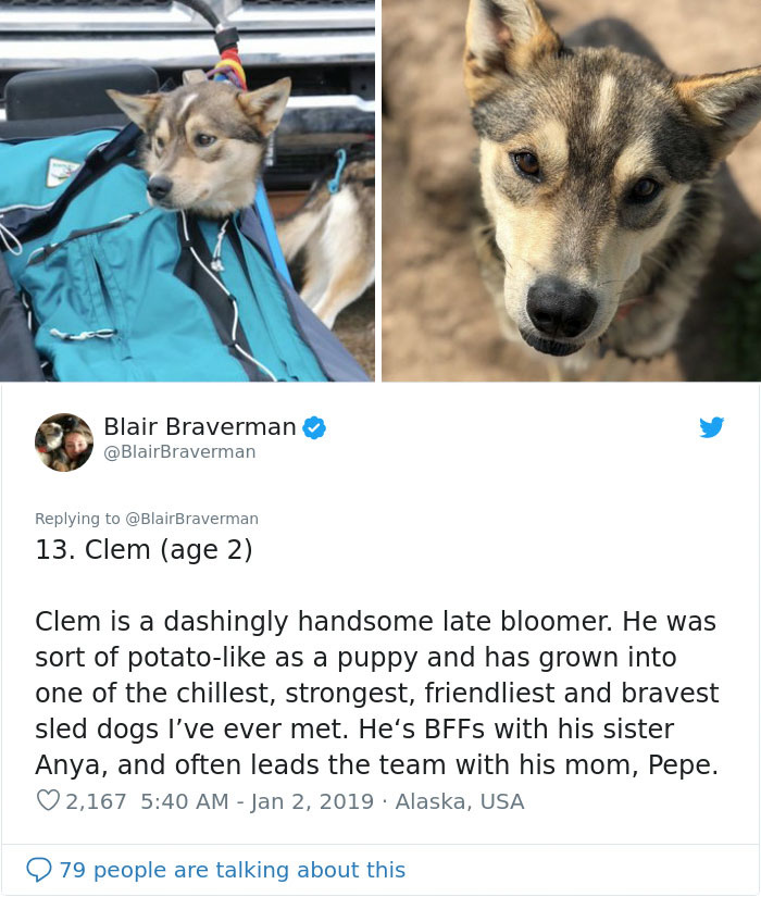 The Way This Woman Described Each And Every One Of Her 20 Sled Dogs Is Hilariously Wholesome The Way This Woman Described Each And Every One Of Her 20 Sled Dogs Is Hilariously Wholesome