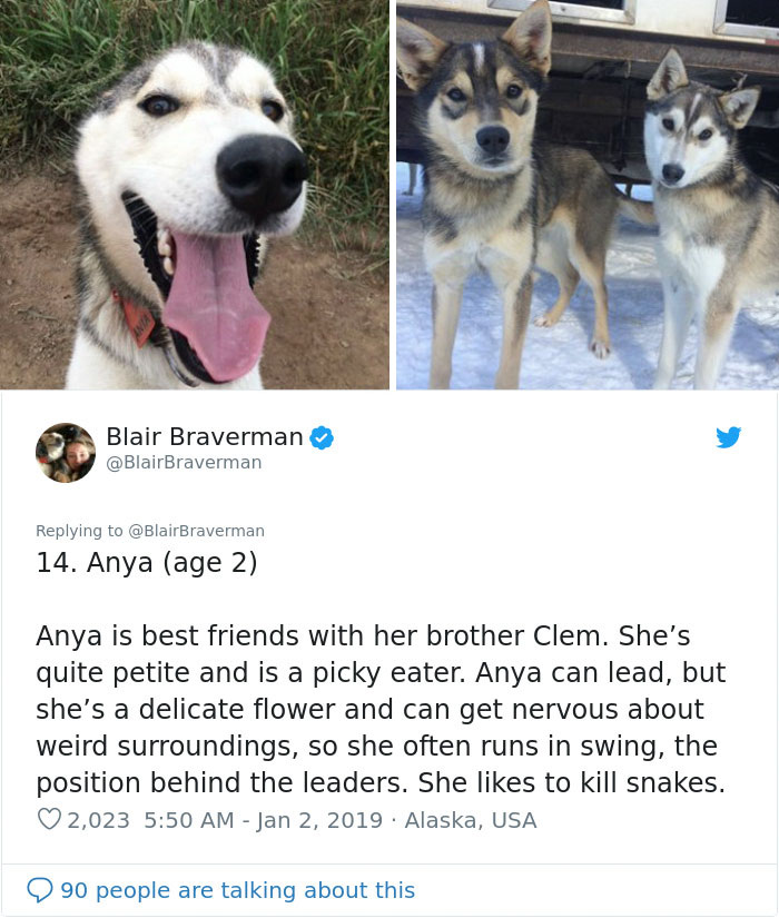 The Way This Woman Described Each And Every One Of Her 20 Sled Dogs Is Hilariously Wholesome The Way This Woman Described Each And Every One Of Her 20 Sled Dogs Is Hilariously Wholesome