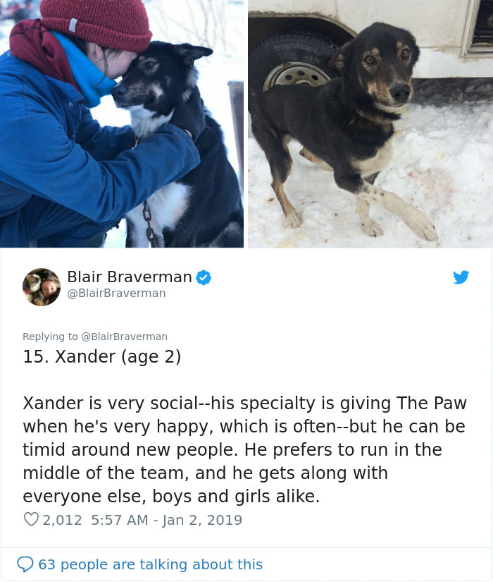 The Way This Woman Described Each And Every One Of Her 20 Sled Dogs Is Hilariously Wholesome The Way This Woman Described Each And Every One Of Her 20 Sled Dogs Is Hilariously Wholesome