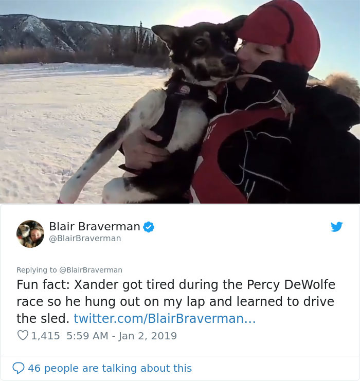 The Way This Woman Described Each And Every One Of Her 20 Sled Dogs Is Hilariously Wholesome The Way This Woman Described Each And Every One Of Her 20 Sled Dogs Is Hilariously Wholesome