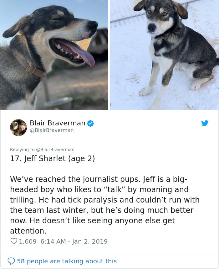 The Way This Woman Described Each And Every One Of Her 20 Sled Dogs Is Hilariously Wholesome The Way This Woman Described Each And Every One Of Her 20 Sled Dogs Is Hilariously Wholesome