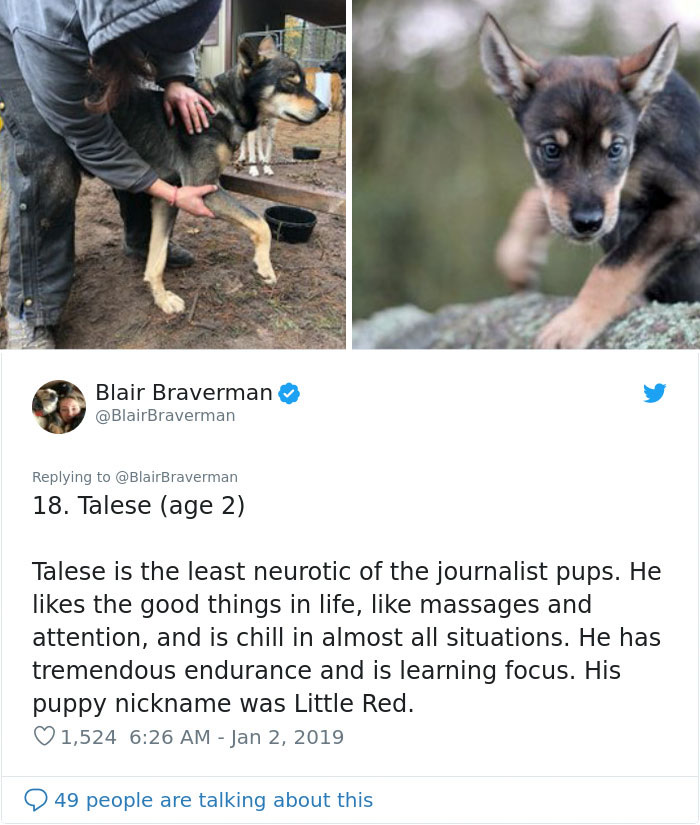 The Way This Woman Described Each And Every One Of Her 20 Sled Dogs Is Hilariously Wholesome The Way This Woman Described Each And Every One Of Her 20 Sled Dogs Is Hilariously Wholesome