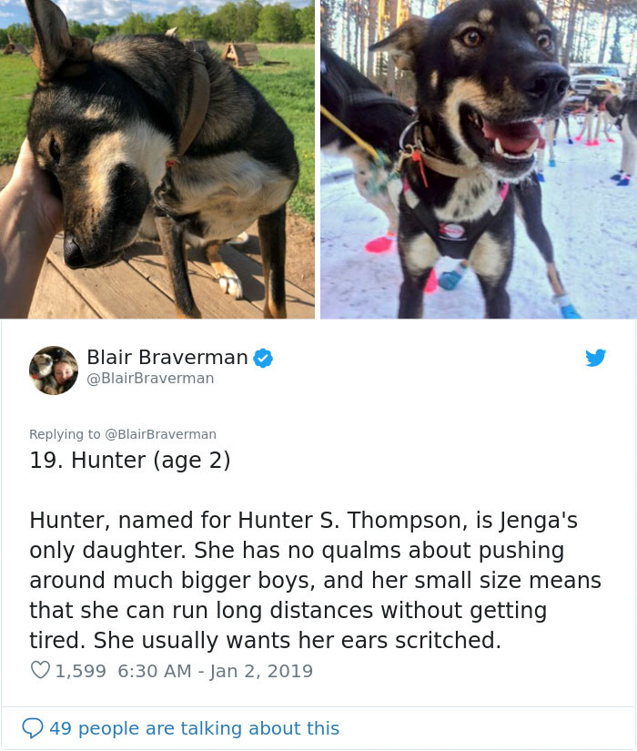 The Way This Woman Described Each And Every One Of Her 20 Sled Dogs Is Hilariously Wholesome The Way This Woman Described Each And Every One Of Her 20 Sled Dogs Is Hilariously Wholesome