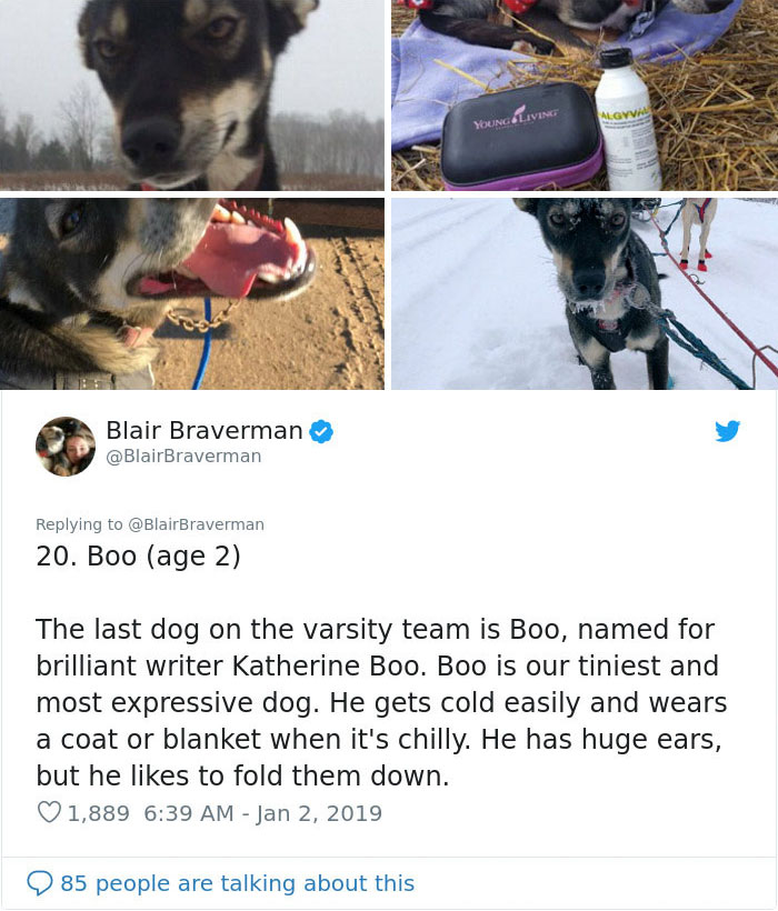 The Way This Woman Described Each And Every One Of Her 20 Sled Dogs Is Hilariously Wholesome The Way This Woman Described Each And Every One Of Her 20 Sled Dogs Is Hilariously Wholesome