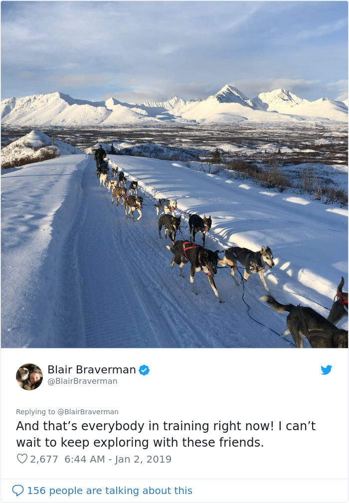The Way This Woman Described Each And Every One Of Her 20 Sled Dogs Is Hilariously Wholesome The Way This Woman Described Each And Every One Of Her 20 Sled Dogs Is Hilariously Wholesome