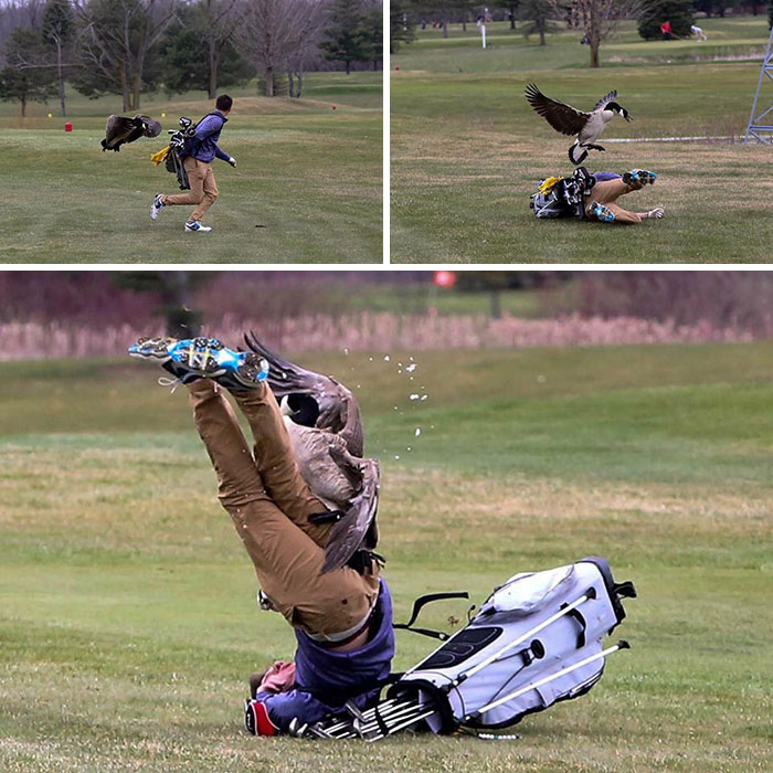 50 Epic Fails By People Who Are Having A Worse Day Than You (New Pics)