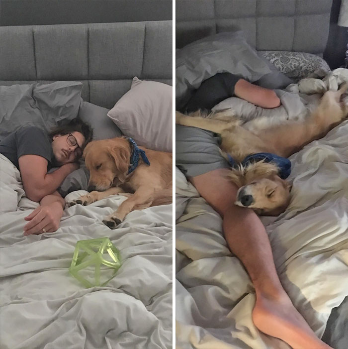 50 Interesting Comparison Images That Will Give You A Different Perspective 50 Interesting Comparison Images That Will Give You A Different Perspective