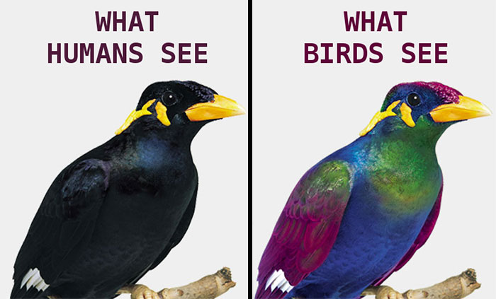 50 Interesting Comparison Images That Will Give You A Different Perspective 50 Interesting Comparison Images That Will Give You A Different Perspective