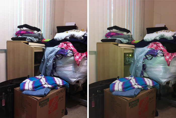 50 Interesting Comparison Images That Will Give You A Different Perspective 50 Interesting Comparison Images That Will Give You A Different Perspective