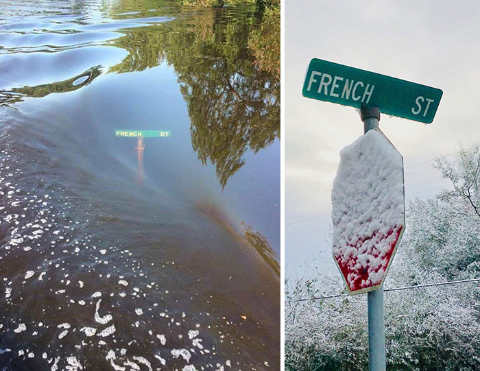 50 Interesting Comparison Images That Will Give You A Different Perspective 50 Interesting Comparison Images That Will Give You A Different Perspective