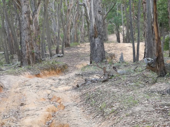 Guy Tries To Take A 15 Min &#8216;Shortcut&#8217; Suggested By Google Maps, Gets A Lesson And A Trip Of A Lifetime