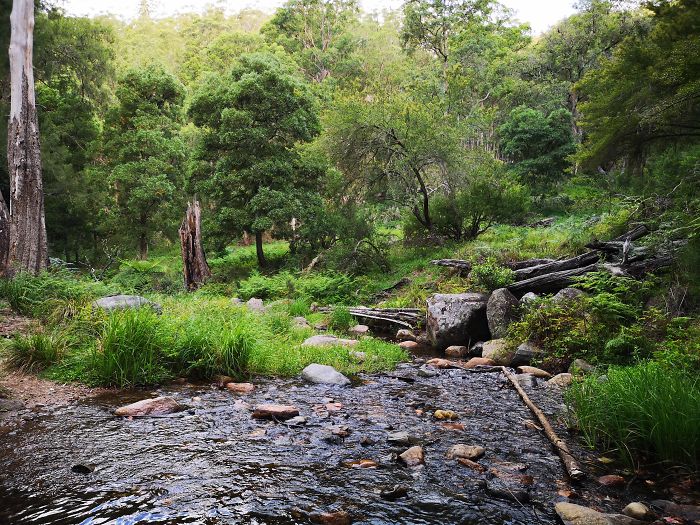 Guy Tries To Take A 15 Min &#8216;Shortcut&#8217; Suggested By Google Maps, Gets A Lesson And A Trip Of A Lifetime