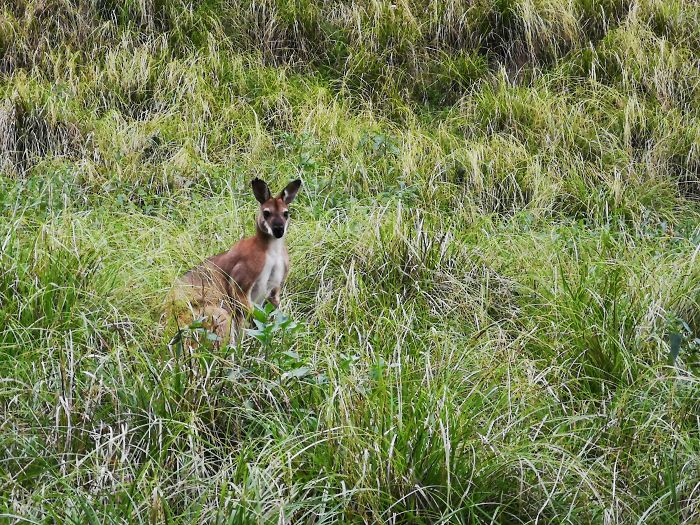 Guy Tries To Take A 15 Min &#8216;Shortcut&#8217; Suggested By Google Maps, Gets A Lesson And A Trip Of A Lifetime