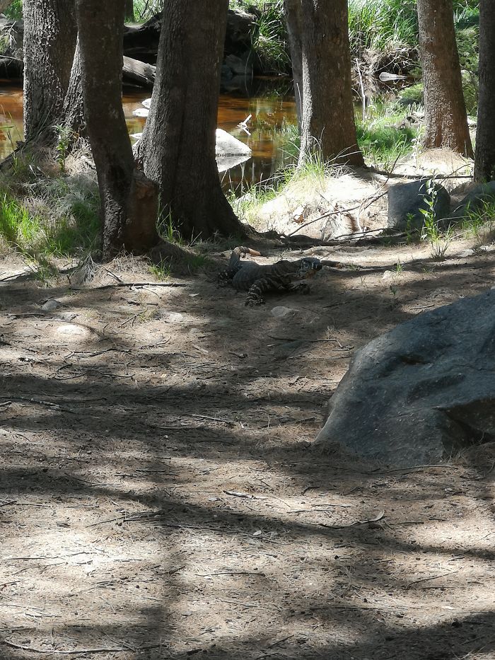 Guy Tries To Take A 15 Min &#8216;Shortcut&#8217; Suggested By Google Maps, Gets A Lesson And A Trip Of A Lifetime