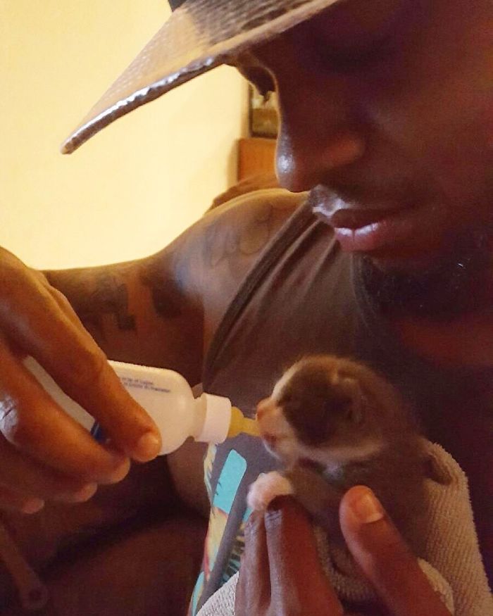 30 Times Cats Cracked Us Up 30 Times Cats Cracked Us Up