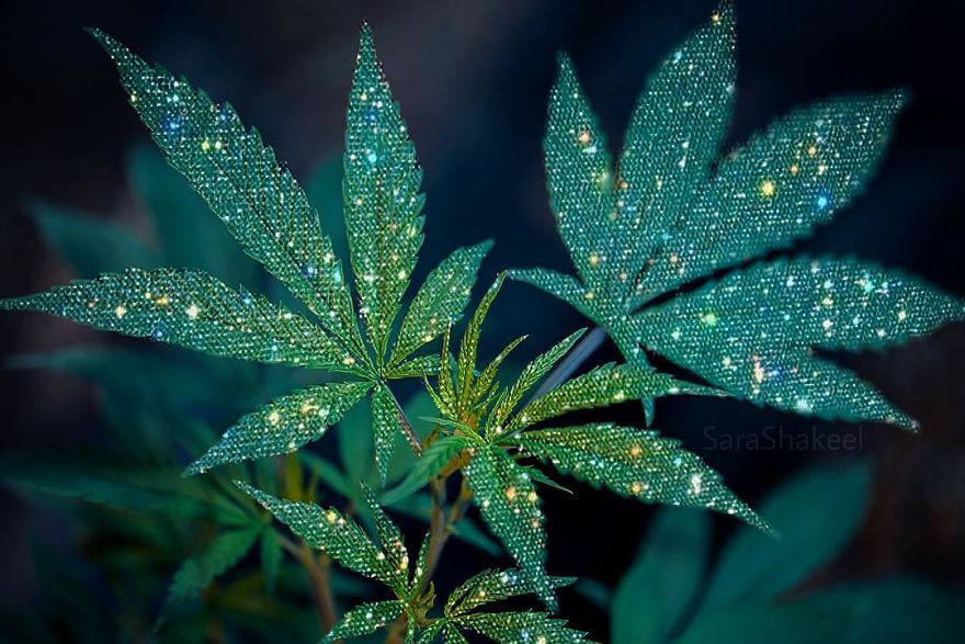 Sara Shakeel Quits Her Job As A Dentist To Start Her Career As A Glitter Artist Sara Shakeel Quits Her Job As A Dentist To Start Her Career As A Glitter Artist