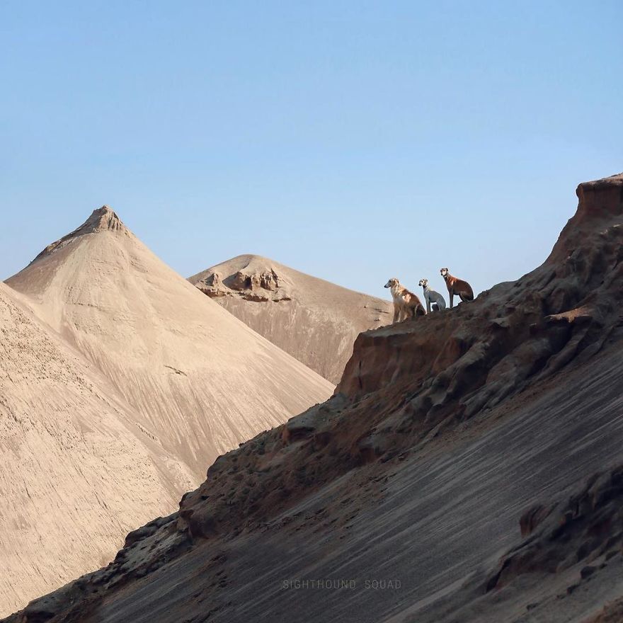 We Are The Sighthound Squad And We Explore Lithuania With Our Lovely Dogs We Are The Sighthound Squad And We Explore Lithuania With Our Lovely Dogs